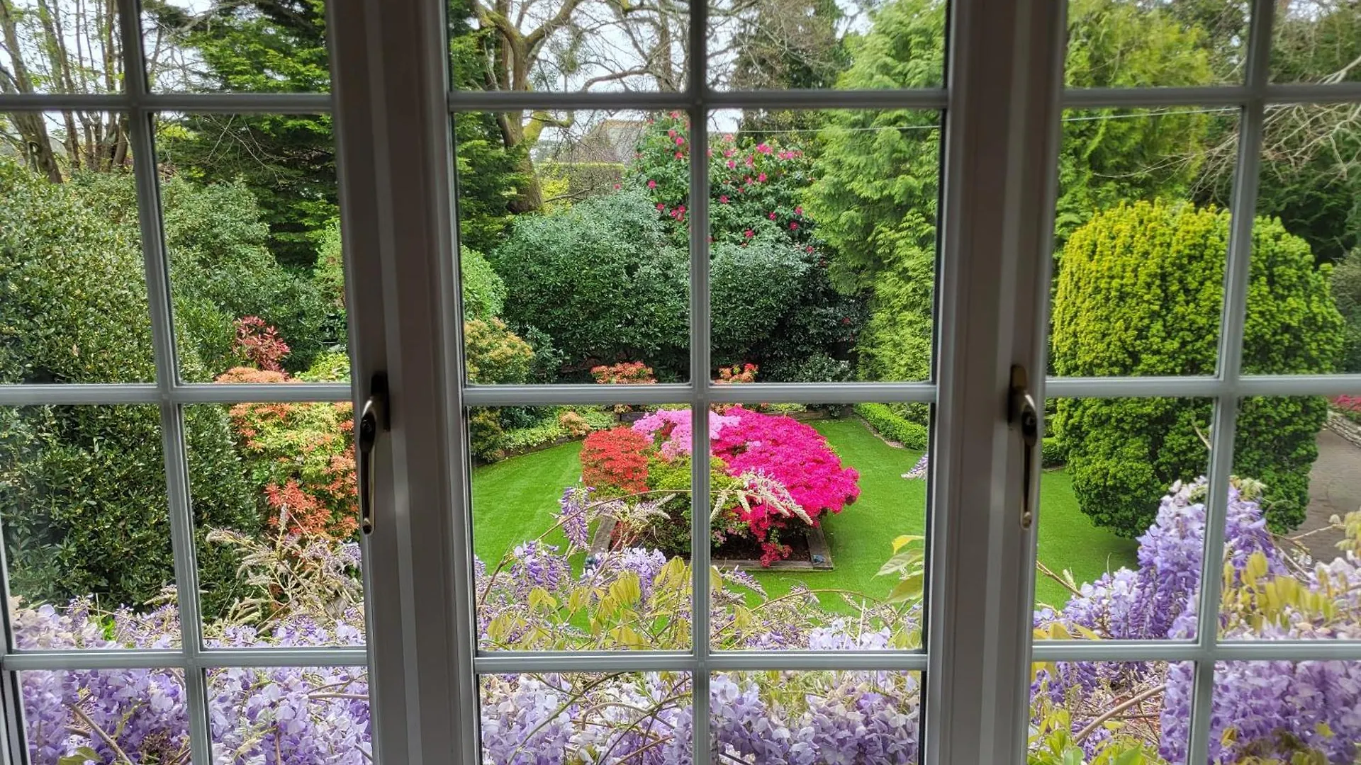 Little Robin Gate - Free Parking - Central - 10 Min Walk To Train Station ボーンマス イギリス