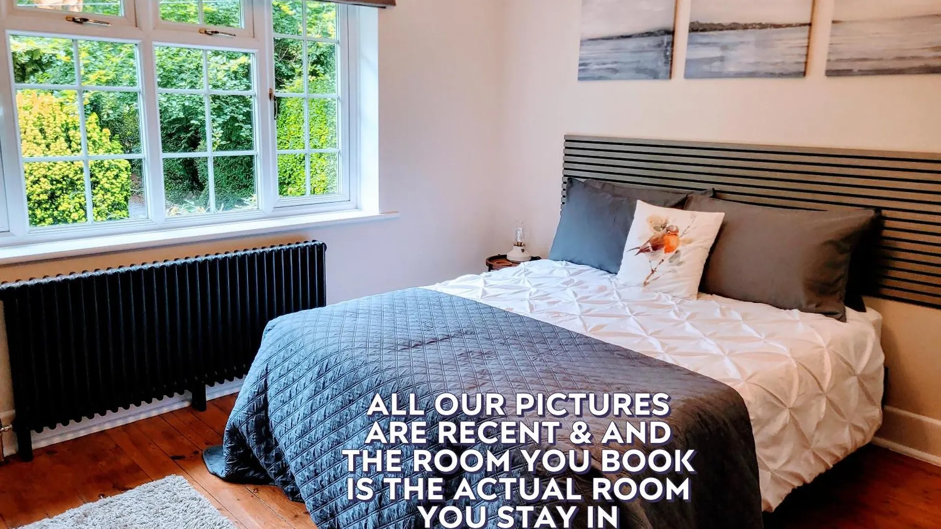 Little Robin Gate - Free Parking - Central - 10 Min Walk To Train Station Bornemouth Royaume-Uni